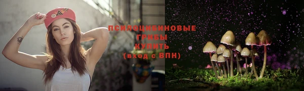гашик Абдулино