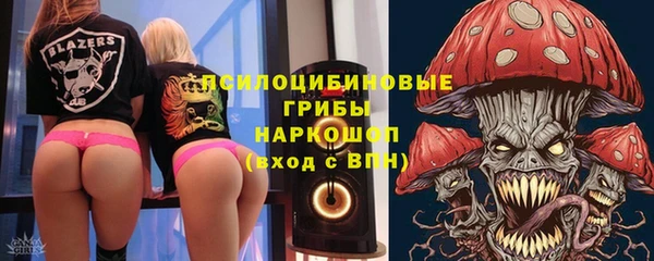 крисы Россошь
