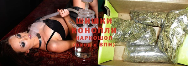 ГАЛЛЮЦИНОГЕННЫЕ ГРИБЫ Рославль