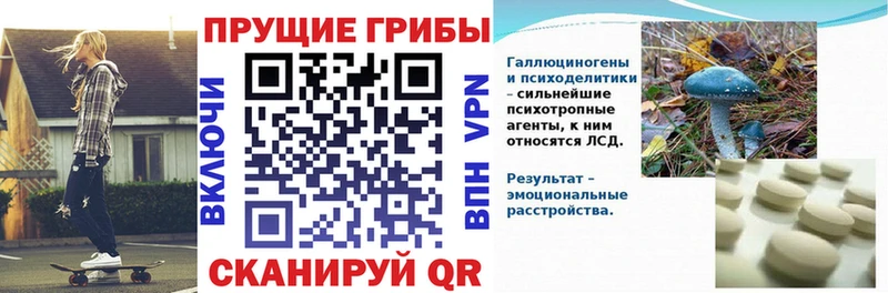 Галлюциногенные грибы Magic Shrooms  Лосино-Петровский 